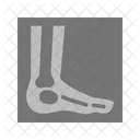 Fuss Bein Scan Symbol