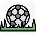 Fussball Ball Gras Symbol