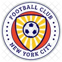 Futbol Futbol Internacional Escudo De Futbol Icono