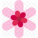 Gaillardia Flower Blossom Icon