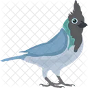 Gaio azul  Ícone