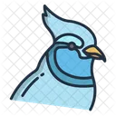 Gaio azul  Ícone
