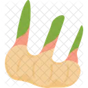 Galangal Sweet Diet Icon
