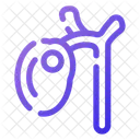 Gall bladder  Icon