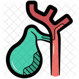 Gallbladder  Icon