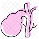 Gallbladder Color Shadow Thinline Icon Icon