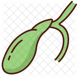 Gallbladder  Icon