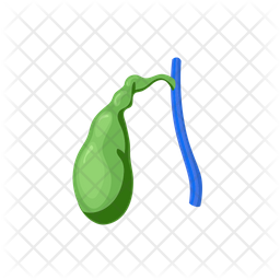 Gallbladder Icon - Download in Flat Style