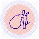 Gallbladder Line Icon Icon