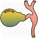 Gallbladder  Icon