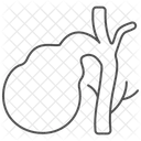 Gallbladder  Icon