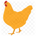 Gallina Pollo Gallo Icono
