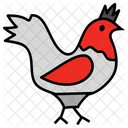 Gallina Pollo Animal Domestico Icon