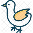 Pajaro Gallina Pollo Icono