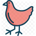 Gallina Gallina Pollo Icono
