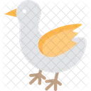 Pajaro Gallina Pollo Icono
