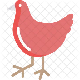 Gallina  Icono