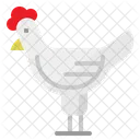 Gallina Pollo Granja Icono