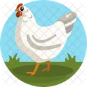 Gallina Pollo Pajaro Icono