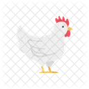 Gallina Pollo Animales Icono