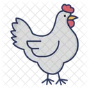 Gallina Pollo Zoologico Icono