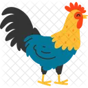 Gallo Ave Pajaro Icono