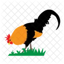 Gallo Pollo Comida Icono