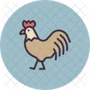 Gallo Pollo Gallina Icono