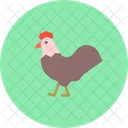 Gallo Pollo Gallina Icono