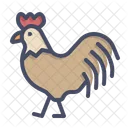 Gallo Pollo Gallina Icono