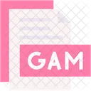 Gam Format Type Icon