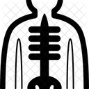 Gamma  Icon