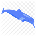 Ganges River Dolphin Dolphin Fish Icon