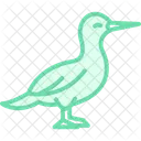 Gannet Bird Sea Icon