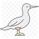 Gannet Bird Sea Icon