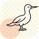 Gannet Bird Sea Icon