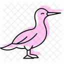 Gannet Bird Sea Icon