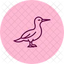 Gannet Bird Sea Icon