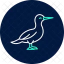 Gannet Bird Sea Icon