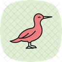 Gannet Bird Sea Icon