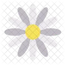 Gänseblümchen  Symbol