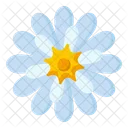 Gänseblümchen  Symbol