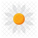 Gänseblümchen  Symbol