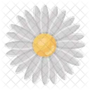 Gänseblümchen  Symbol