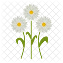 Gänseblümchen  Symbol