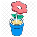 Gänseblümchen  Symbol