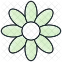 Gänseblümchen  Symbol