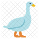 Ganso Pato Animal Icono