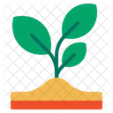 Nature Plant Tree Icon