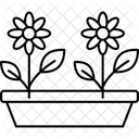 Garden Bed Prep Garden Bed Icon